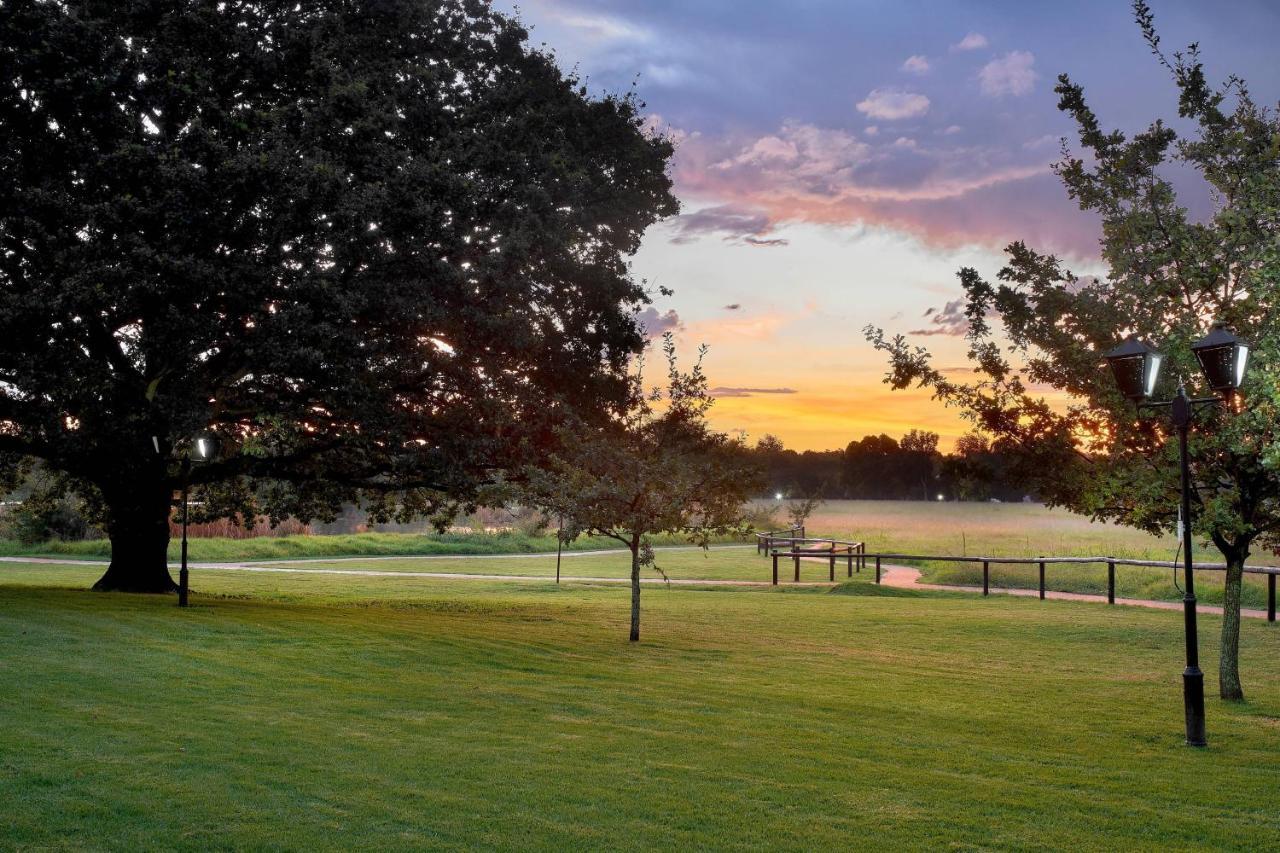 Irene Country Lodge, Autograph Collection Центурион Экстерьер фото Sunset at the park